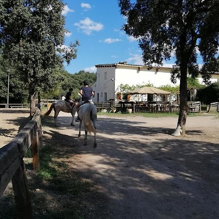 Casa Rural, Can Cirera Seriñá Bagian luar foto