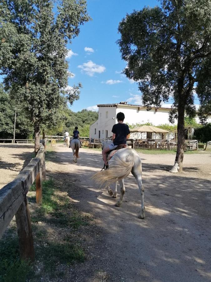 Casa Rural, Can Cirera Seriñá Bagian luar foto